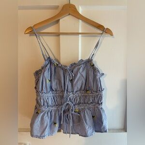 Striped Blue and White Women's Lemon Top